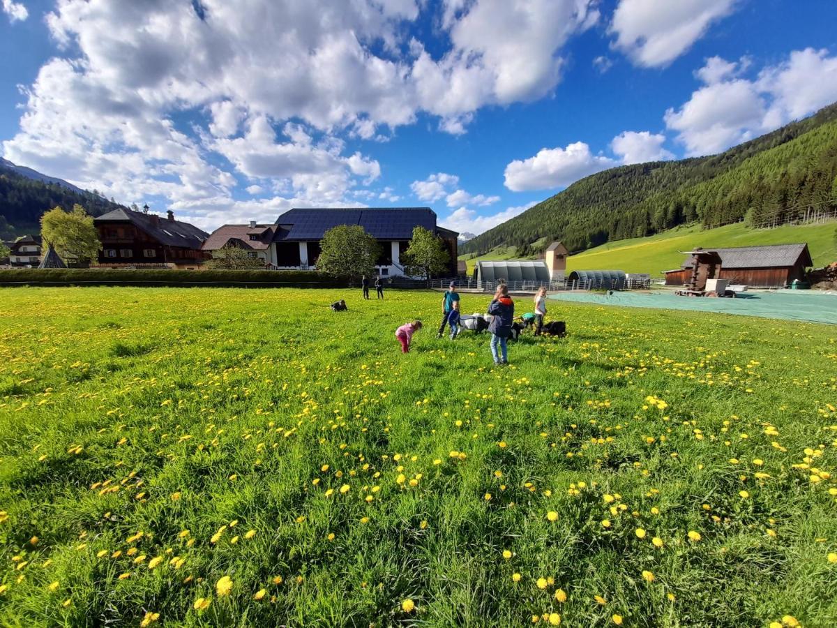 Sonnenchalet Neusess Mauterndorf  Dış mekan fotoğraf